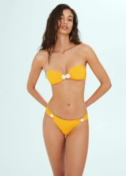 Culotte Bikini Classique Coquillages