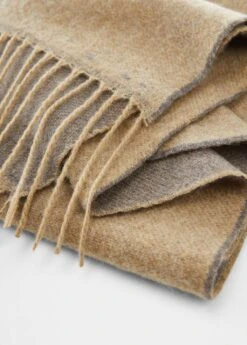 Écharpe Bicolore Franges