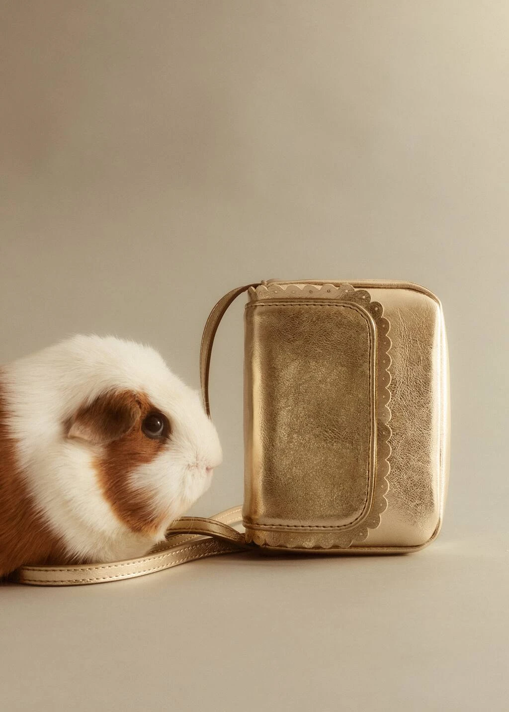 Petit Sac Métallisé – Image 5