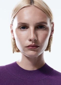 Boucles D’oreilles Avec Un Pendentif En Cristaux