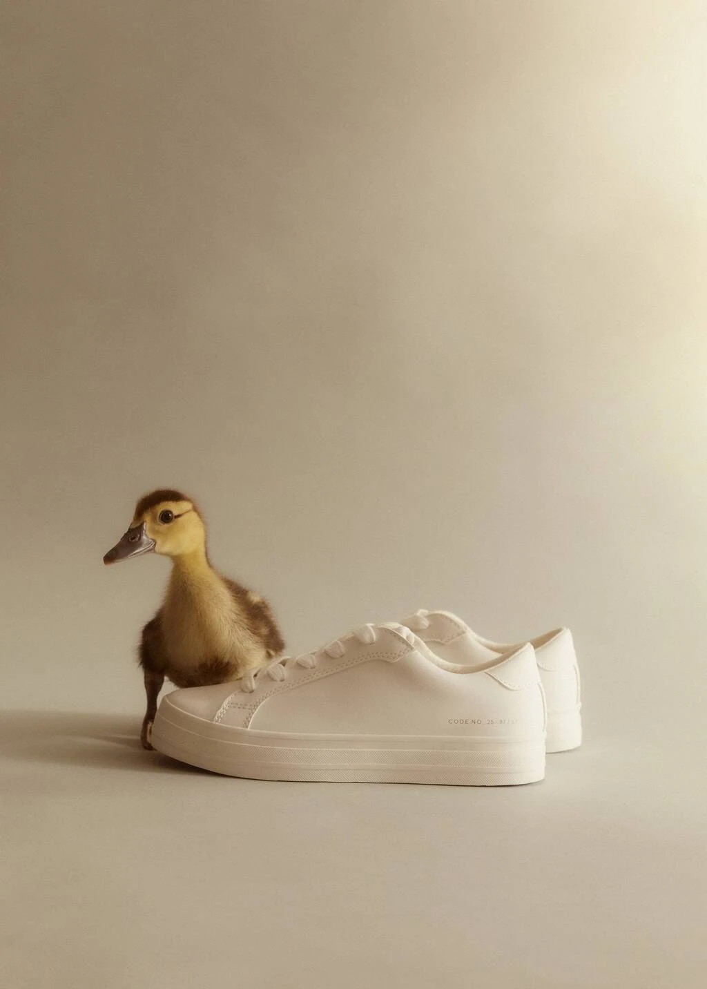 Baskets Plate-forme – Image 5