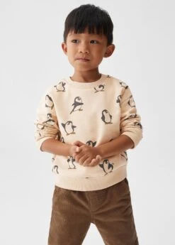 Sweater Coton Molletonné