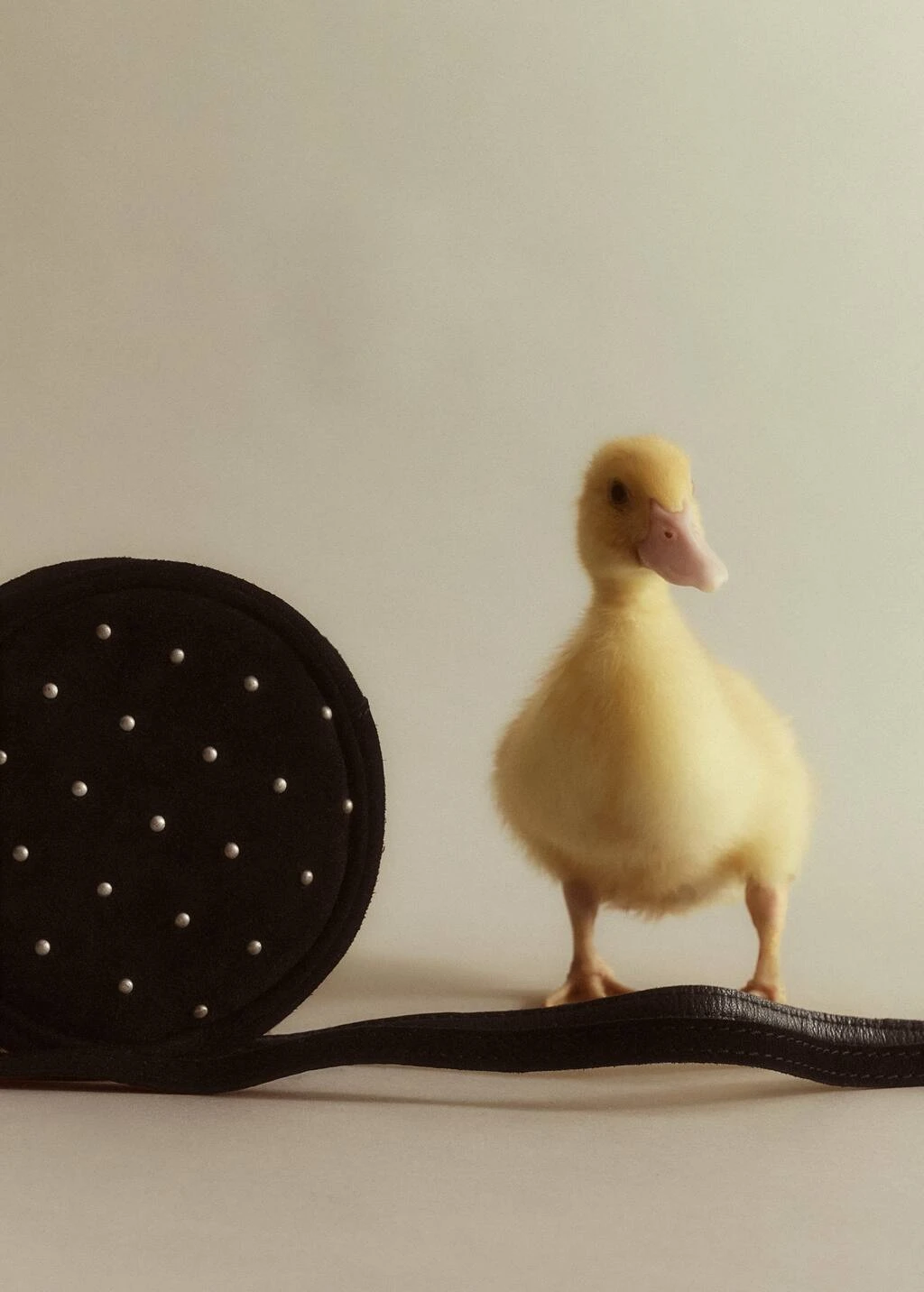 Sac Cuir Ornements – Image 6